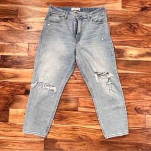 Abercrombie & Fitch The Mom High Rise Curve Love Sz 10/30Short